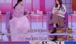 阿娇曾爆料赖弘国的视频,一段婚姻的真相与反思