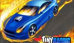 新奇爆料赛车游戏视频大全,揭秘视频大全中的速度与激情瞬间